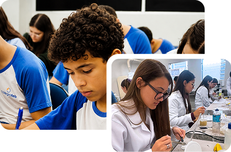 Ensino Fundamental