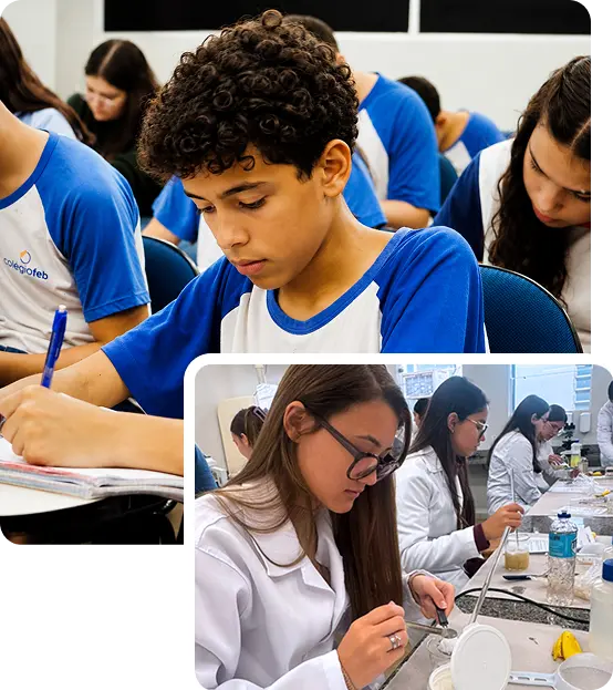 Educação Colégio FEB
